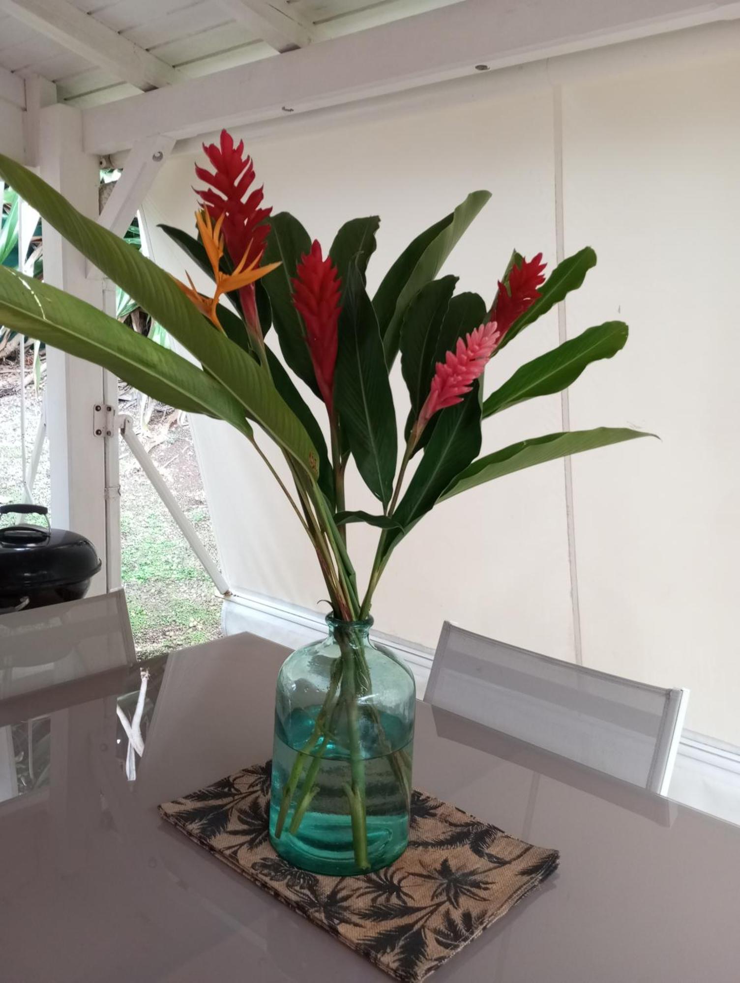 לה גוסייר Bungalow Broceliande מראה חיצוני תמונה